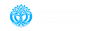 OSSON India Foundation